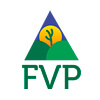mini-logo-fvp